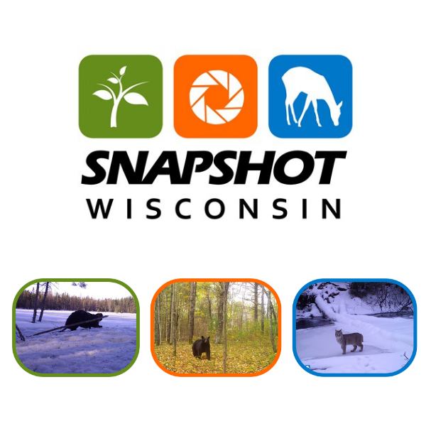 "Snapshot Wisconsin logo with three wildlife images: a bear in snow, a bear in autumn woods, and a bobcat in snow."